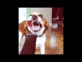 Black Moth Super Rainbow - YourTeethAndFace(MarchingAlong)