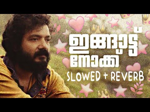 Ingattu Nokku ( Slowed + Reverb )Chattambi Promo Song