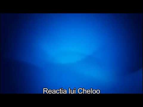 Reacția lui Cheloo la Diss-ul lui Guess Who