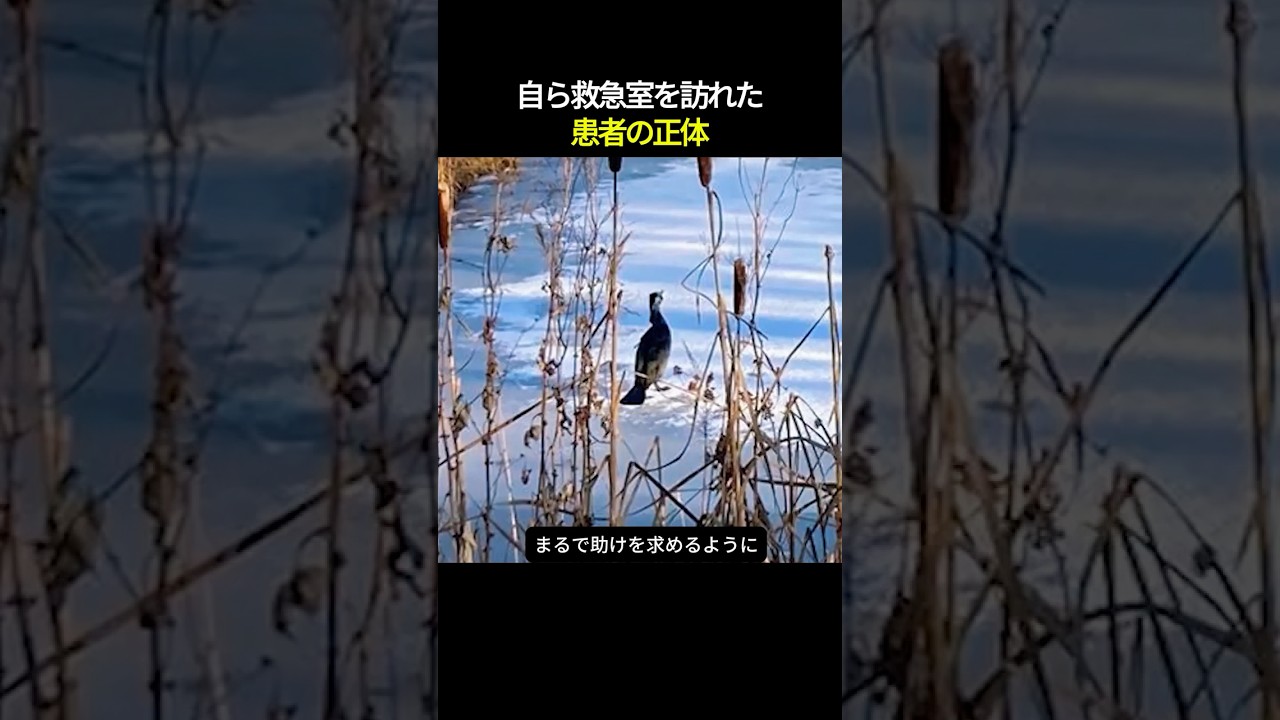 自ら救急室を訪れた患者の正体