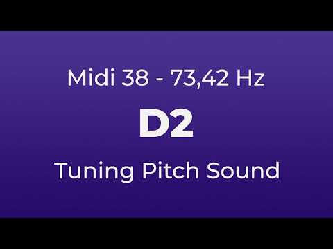 D2 Tuning Pitch | 73,42 Hz | Midi Key 38