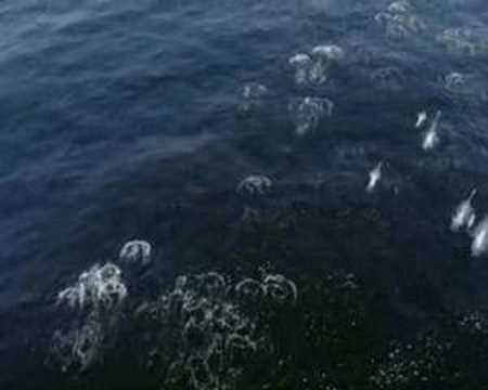 Nitrous Oxide - Red Moon Slide