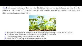 SỞ HÀ NỘI (CỤM SÓC SƠN) Bài tập về chiều cao cây và tốc độ tăng trưởng