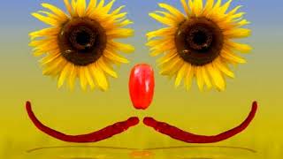 Sommertag 2018 | Ronnie Dove: Happy Summer Days