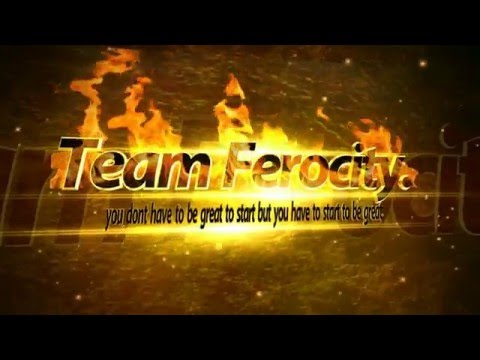 Team ferocity (Krystian and Andrejs) Progress. New!