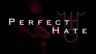 Perfect Hate - Scapegoat