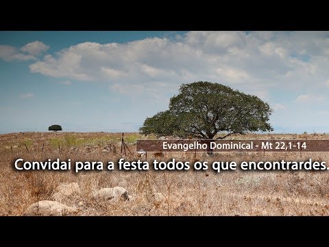 Evangelho de São Mateus 22,1-14 - Arautos do Evangelho