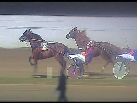 Trotto 20/06/2020 - 10ª corsa