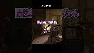 民間人を守るために来たはずなのに w/ @RanzeCh オペ長 #readyornot