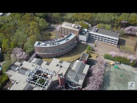 社会福祉学科 【淑徳大学】埼玉キャンパス　桜ドローン映像