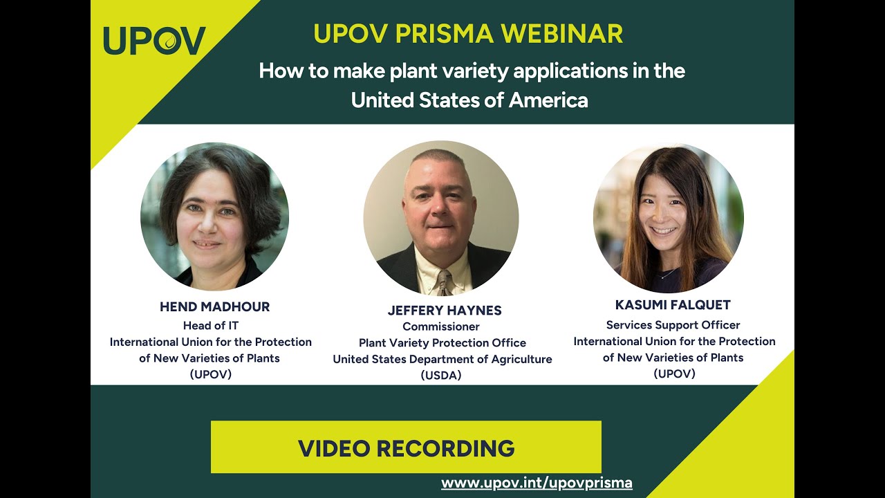 UPOV PRISMA - Focus on United States of America