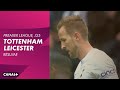 Le résumé de Tottenham / Leicester en VO - Premier League (J35)