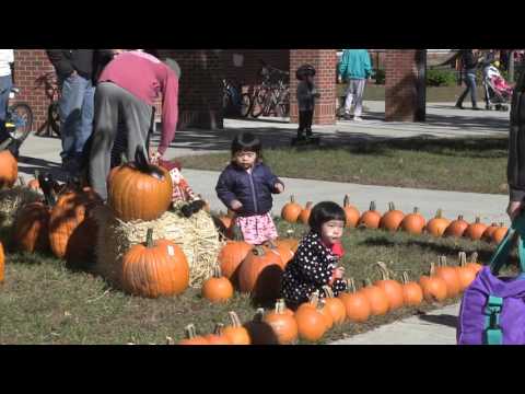 Bates Pumpkin Fair