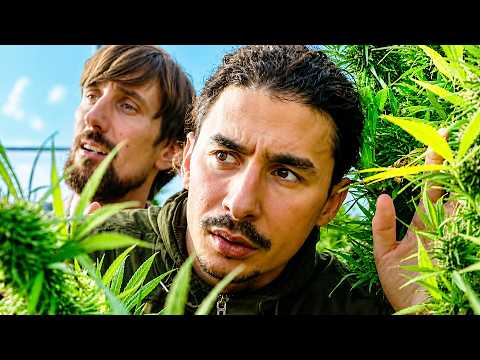 Bande annonce, 