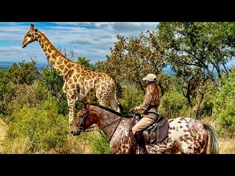 Marta González - Safari a caballo en Sudáfrica y playas de Mozambique