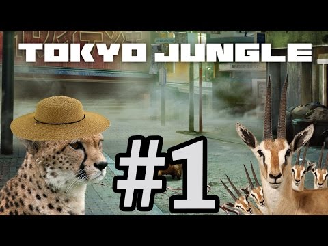 Tokyo Jungle (1) - Straw Hat Cheetah