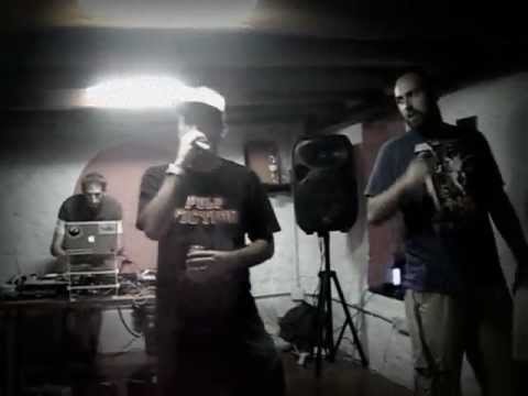 Insectos - Crill (Directo)