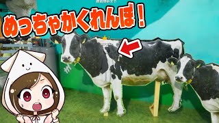 色を塗ってかくれんぼ！？今大流行中のゲームでめっちゃカメレオンになりたい！【めっちゃカメレオン】