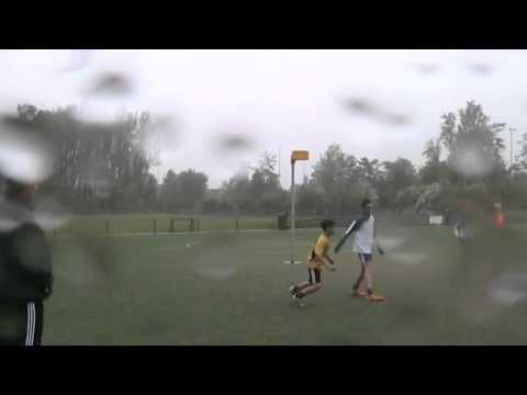 DE MEERVOGELS D3   -  DIE HAGHE D3