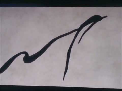 Violetlan PT PT Parte 1