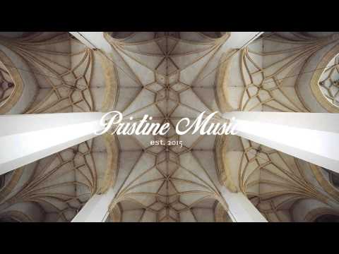 Alexander Lewis x KRNE x JNTHN STEIN - Mega Blastoise