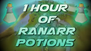 Making Ranarr Potions | Testing OSRS Wiki Money Making Methods