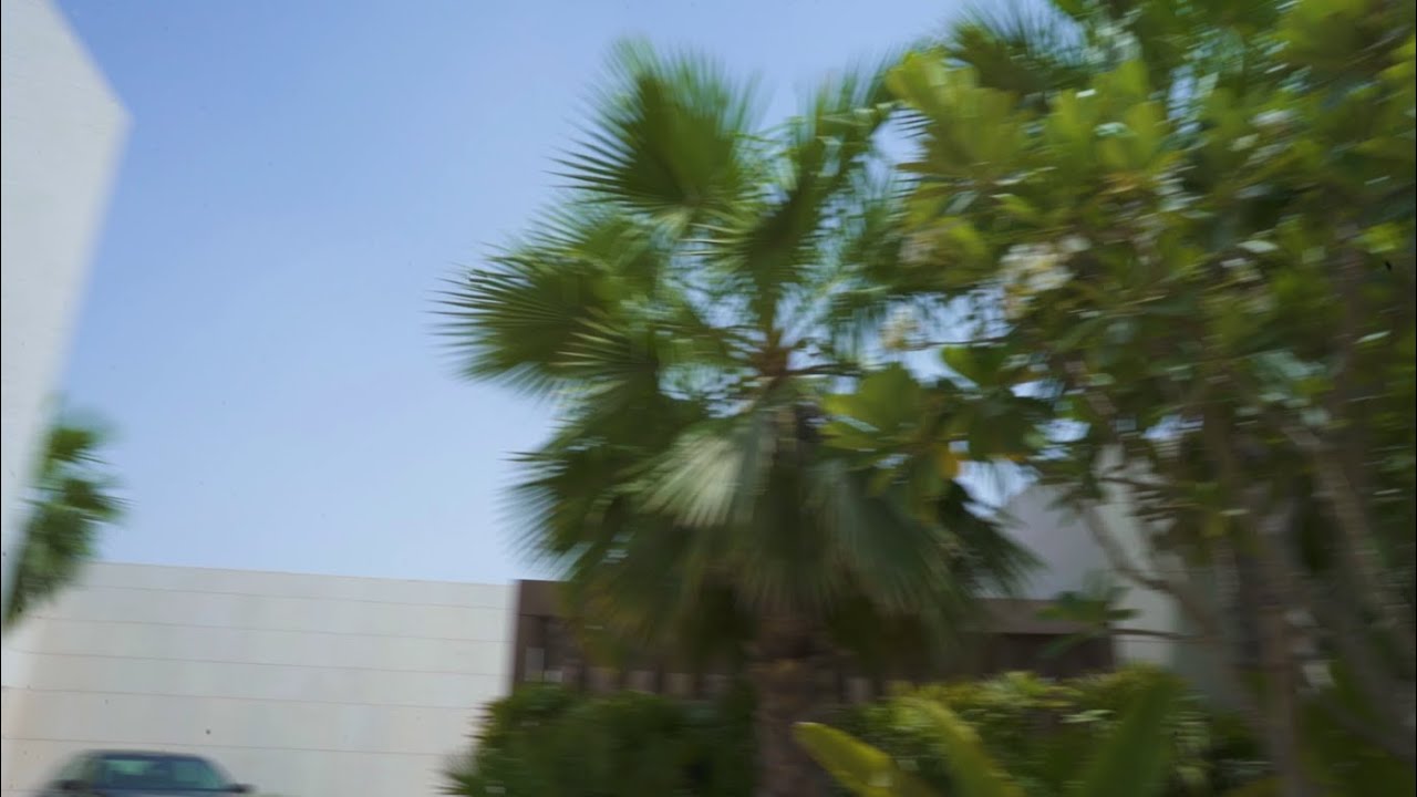 Avalon Launch