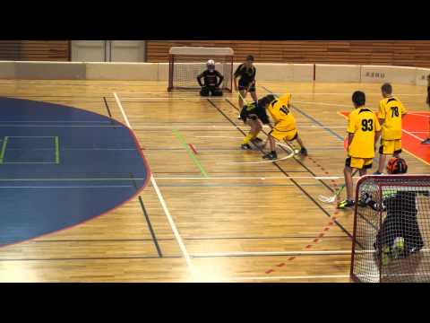 2014-03-16 1. FbK Jablonec n.N. - SK Bivoj Litvínov 9:11