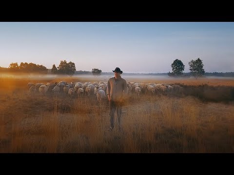 IDFA 2018 | Trailer | Sheep Hero