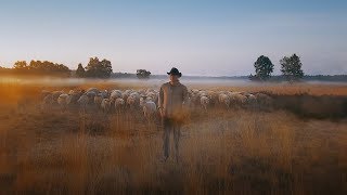 IDFA 2018 | Trailer | Sheep Hero