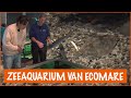 Wat voor vissen kan je vinden in het zeeaquarium? | DierenpraatTV