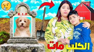 للاسف..الكلب روكي مات😭بطريقة صعيبة بزااف🚨(العائلة كلها بكات🥲)