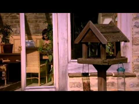 Chicks for The F Word table | The F Word With Foxy Games