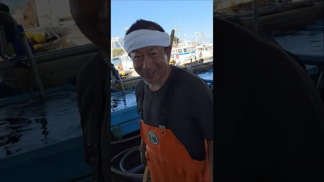 わたぽん今日も絶好調！！　2026年3月27日の片名市場の様子 #へんな魚おじさん #片名市場