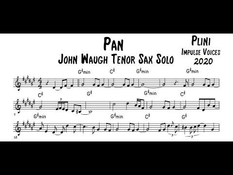 PAN (Plini) - John Waugh Tenor Sax Solo Transcription