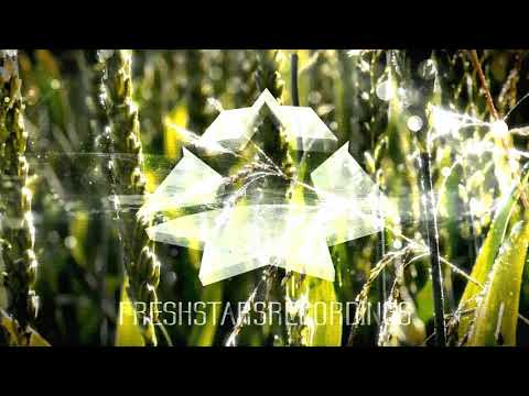 FSR - TOYZMAKENOIZE - Morgentau