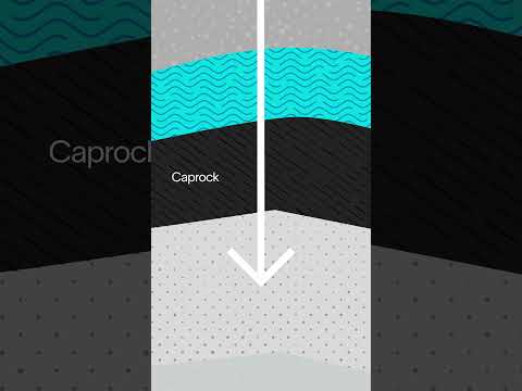 🌍 How Carbon Storage Works | CCS & CCUS Explained 🌍
