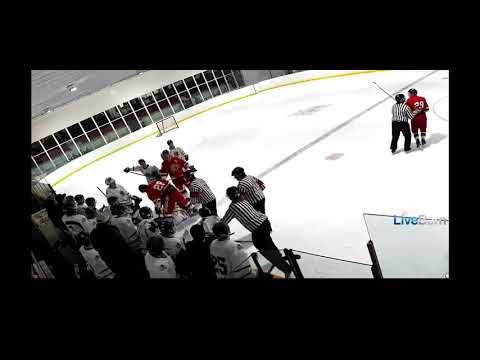 Hague Royals @ Kelvington Wheat Kings Jan 31st, 2026. End of game dustup.