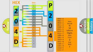 dtc p204d interpretation