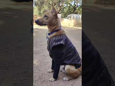 Model Model Super Model              #trending #comedy #hashtag #model