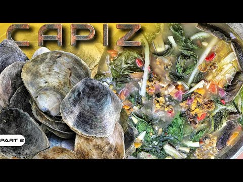 P2-SINAMPALUKANG CAPIZ - EP1195