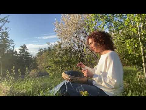 Meditation Music- Melodies of Nature