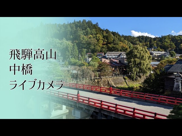 【LIVE CAMERA】中橋 #飛驒高山 #ライブカメラ #高山 #飛驒 / Hida-Takayama Naka-Bashi Bridge #hidatakayama