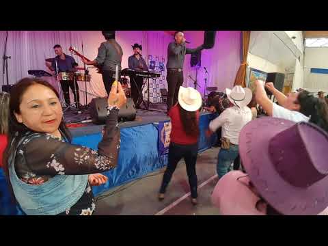 Los pumas de río claro en el reventón de puente alto