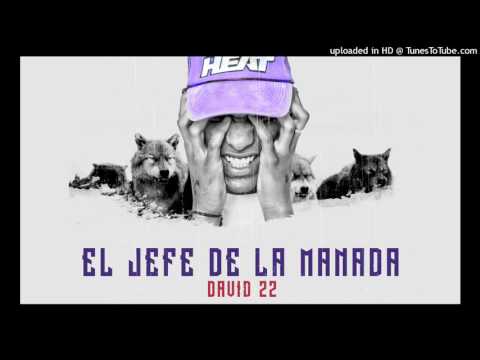 Lobo King Dowa - El Jefe de la Manada