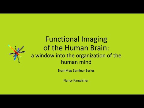 Functional Imaging of the Human Brain: a window into the organization of the human mind