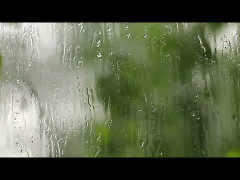 Singing in the Rain Trailer