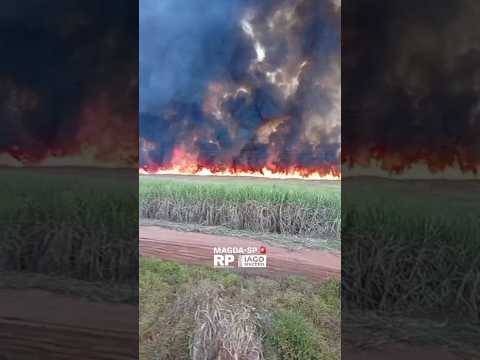 30 foco de incêndio no interior do Estado de São Paulo cidade de Magda sp