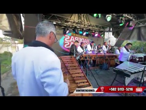 Marimba maderas chapinas 8-23-23