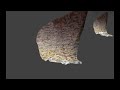 Lava River Cave N3 Lava Tube 3D Scan